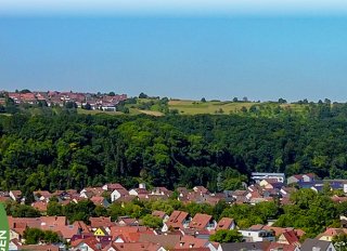  Bild der Neckarenzlingener Landschaft 
